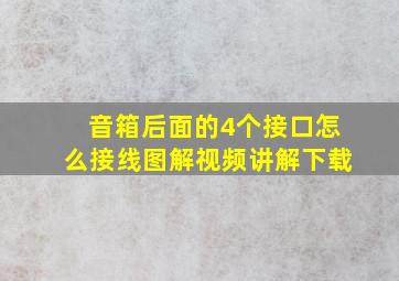 音箱后面的4个接口怎么接线图解视频讲解下载