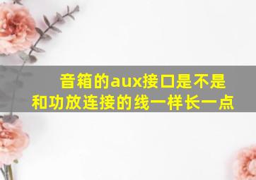 音箱的aux接口是不是和功放连接的线一样长一点