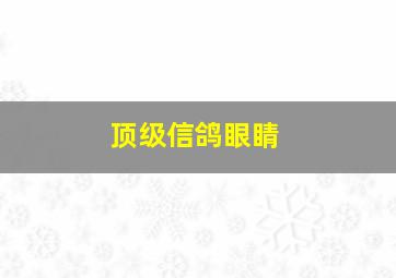 顶级信鸽眼睛