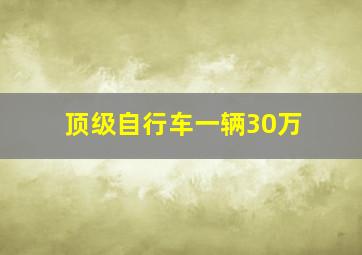 顶级自行车一辆30万