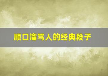 顺口溜骂人的经典段子