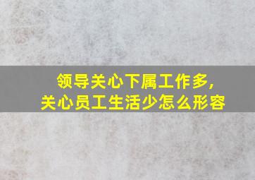 领导关心下属工作多,关心员工生活少怎么形容