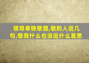 领导单独敬酒,敬别人说几句,敬我什么也没说什么意思