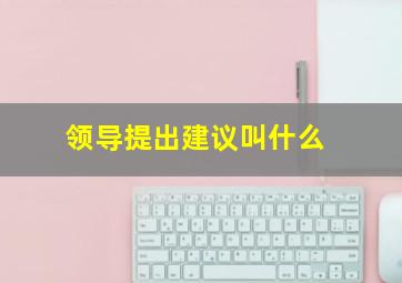 领导提出建议叫什么