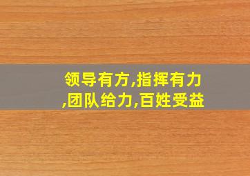 领导有方,指挥有力,团队给力,百姓受益