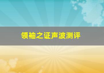 领袖之证声波测评