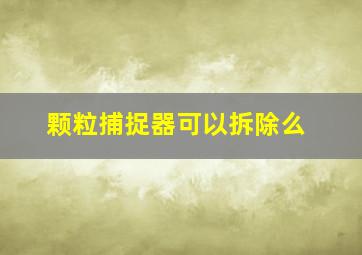 颗粒捕捉器可以拆除么