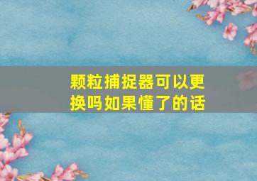 颗粒捕捉器可以更换吗如果懂了的话