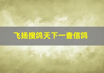 飞扬搜鸽天下一查信鸽