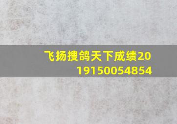 飞扬搜鸽天下成绩2019150054854