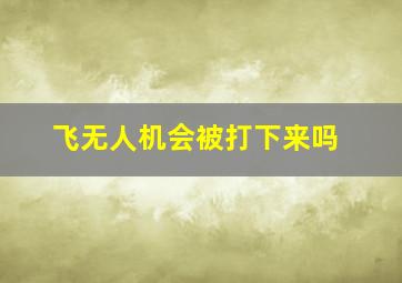 飞无人机会被打下来吗