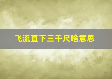 飞流直下三千尺啥意思