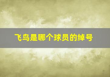 飞鸟是哪个球员的绰号