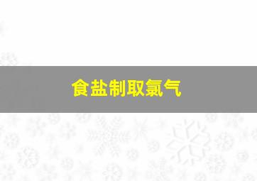 食盐制取氯气