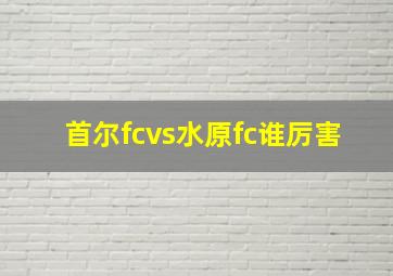 首尔fcvs水原fc谁厉害