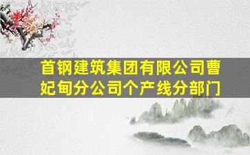 首钢建筑集团有限公司曹妃甸分公司个产线分部门