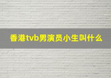 香港tvb男演员小生叫什么