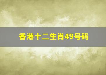 香港十二生肖49号码