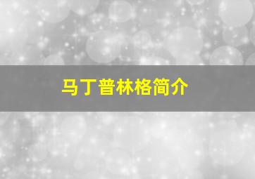 马丁普林格简介