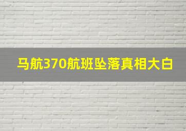 马航370航班坠落真相大白