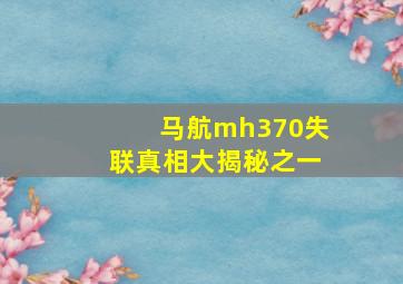 马航mh370失联真相大揭秘之一