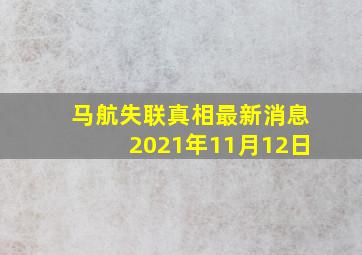 马航失联真相最新消息2021年11月12日