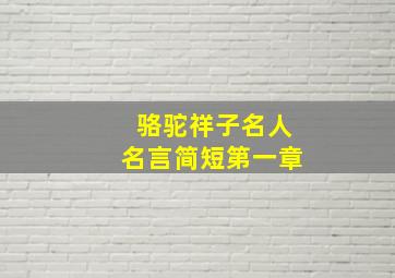 骆驼祥子名人名言简短第一章