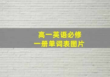 高一英语必修一册单词表图片