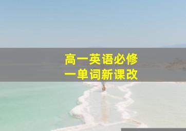 高一英语必修一单词新课改