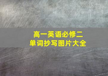 高一英语必修二单词抄写图片大全