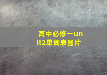 高中必修一unit2单词表图片