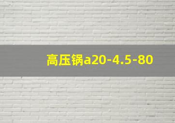 高压锅a20-4.5-80