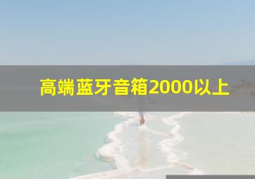 高端蓝牙音箱2000以上