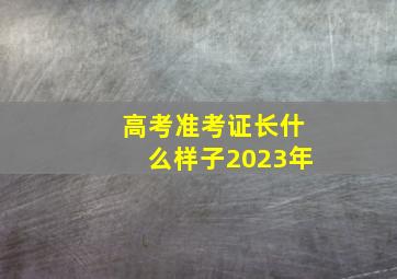 高考准考证长什么样子2023年