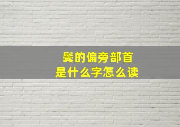 鬓的偏旁部首是什么字怎么读