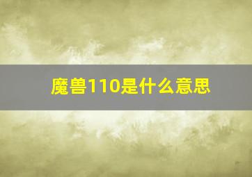 魔兽110是什么意思