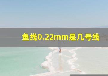 鱼线0.22mm是几号线