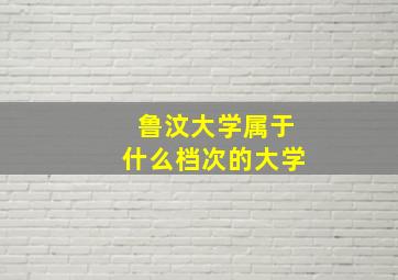 鲁汶大学属于什么档次的大学