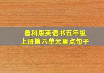 鲁科版英语书五年级上册第六单元重点句子