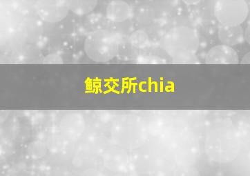 鲸交所chia