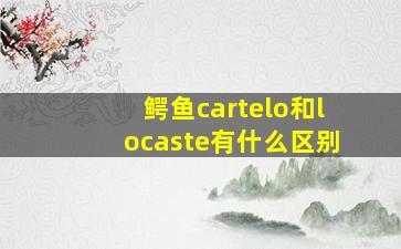 鳄鱼cartelo和locaste有什么区别