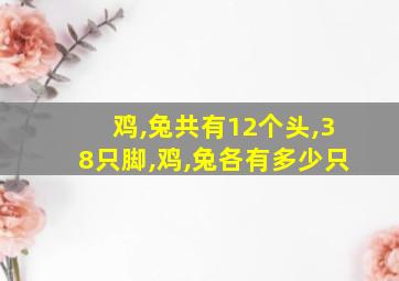 鸡,兔共有12个头,38只脚,鸡,兔各有多少只