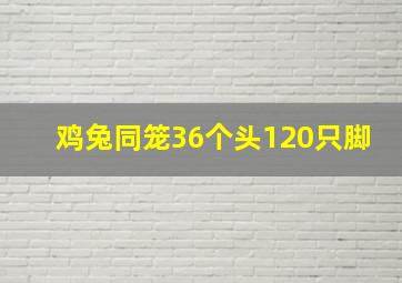 鸡兔同笼36个头120只脚