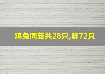 鸡兔同笼共28只,脚72只