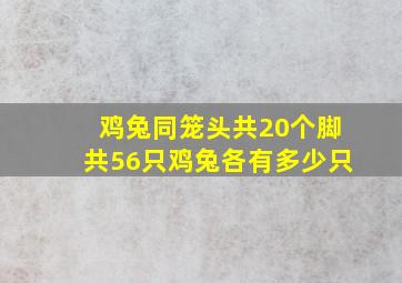 鸡兔同笼头共20个脚共56只鸡兔各有多少只