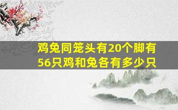 鸡兔同笼头有20个脚有56只鸡和兔各有多少只