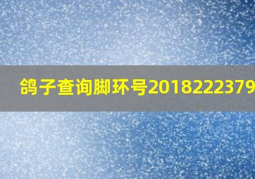 鸽子查询脚环号2018222379267