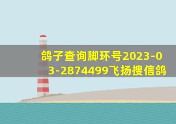 鸽子查询脚环号2023-03-2874499飞扬搜信鸽