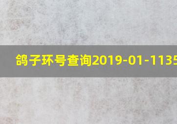 鸽子环号查询2019-01-1135086