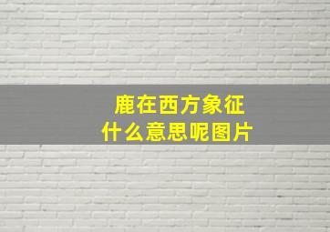 鹿在西方象征什么意思呢图片